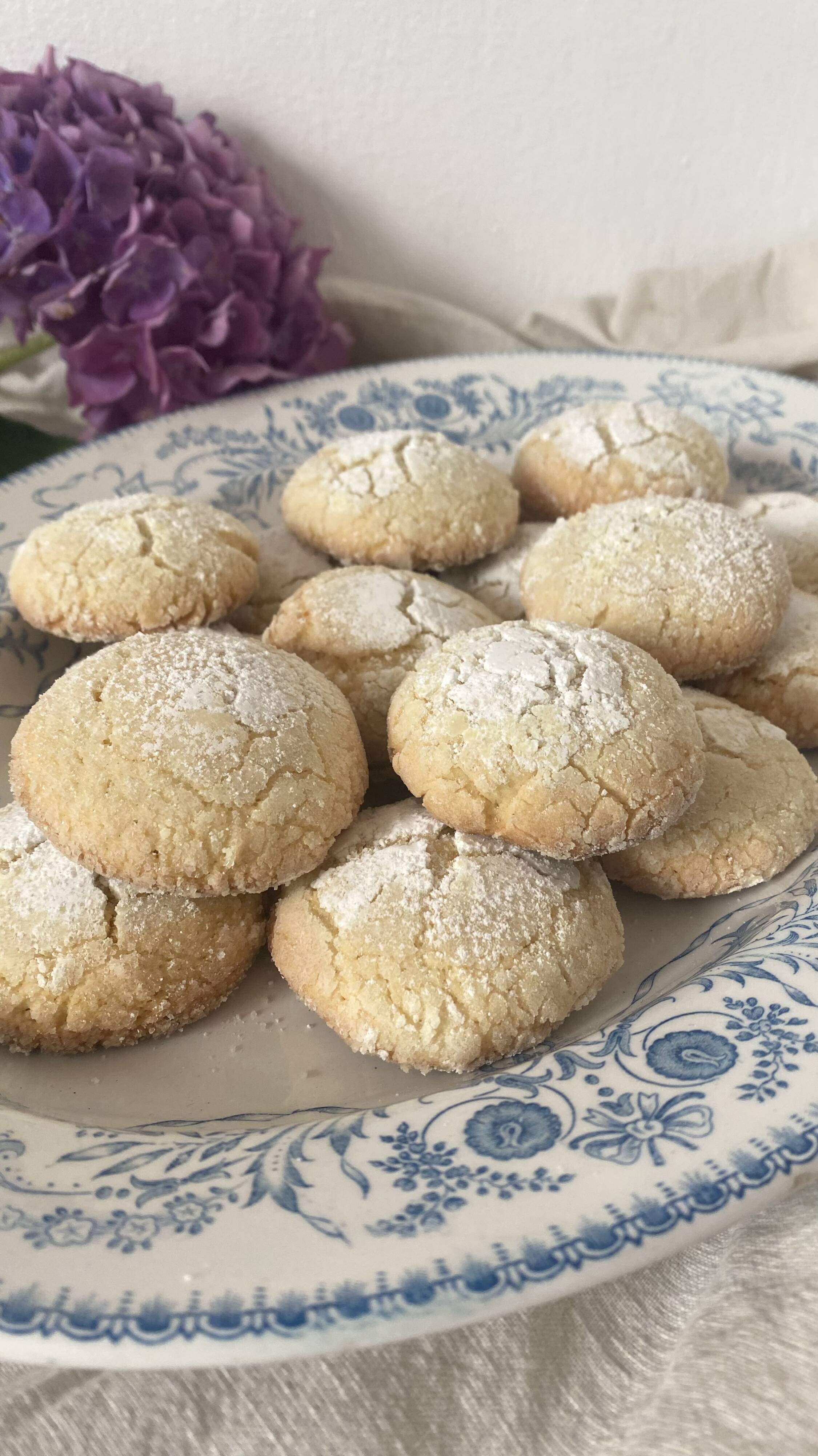 Boch Frères Rubis model ironstone oval dish