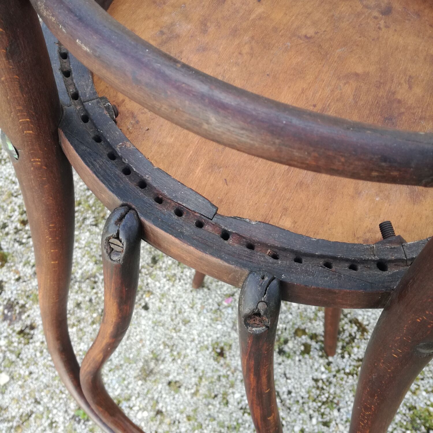 Bistro chairs 1900, set of 2