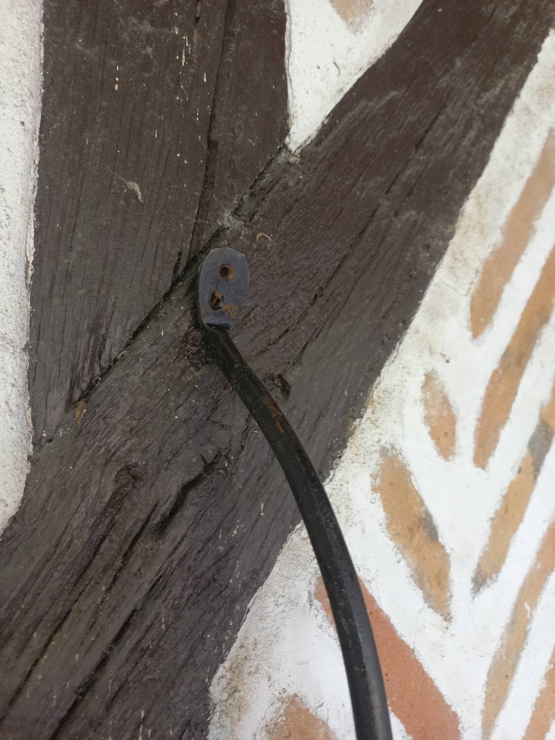 Pair of wrought iron coat hooks