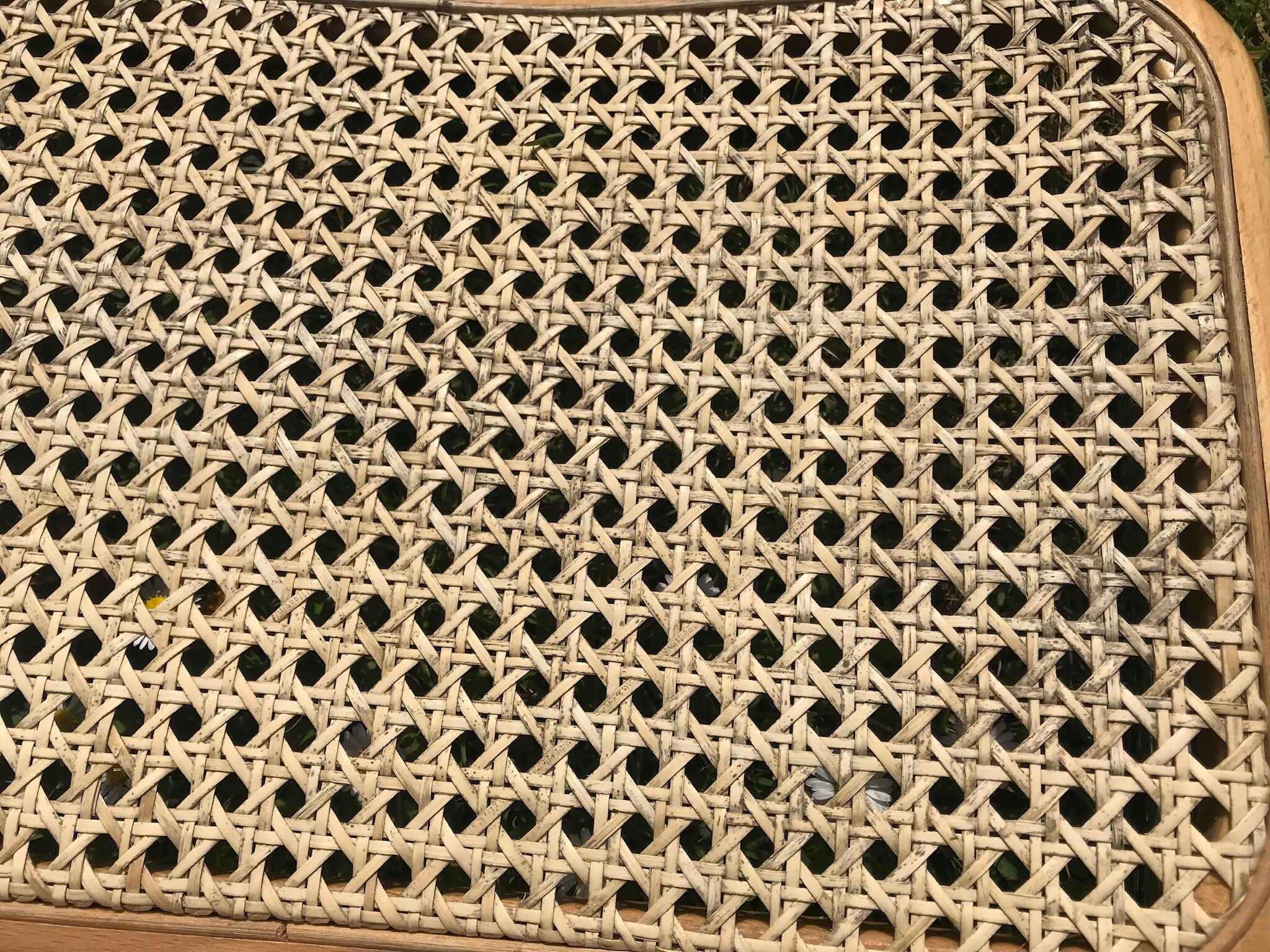 Set of 6 chairs cesca b32 design Marcel Breuer italy