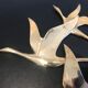Birds in brass flight