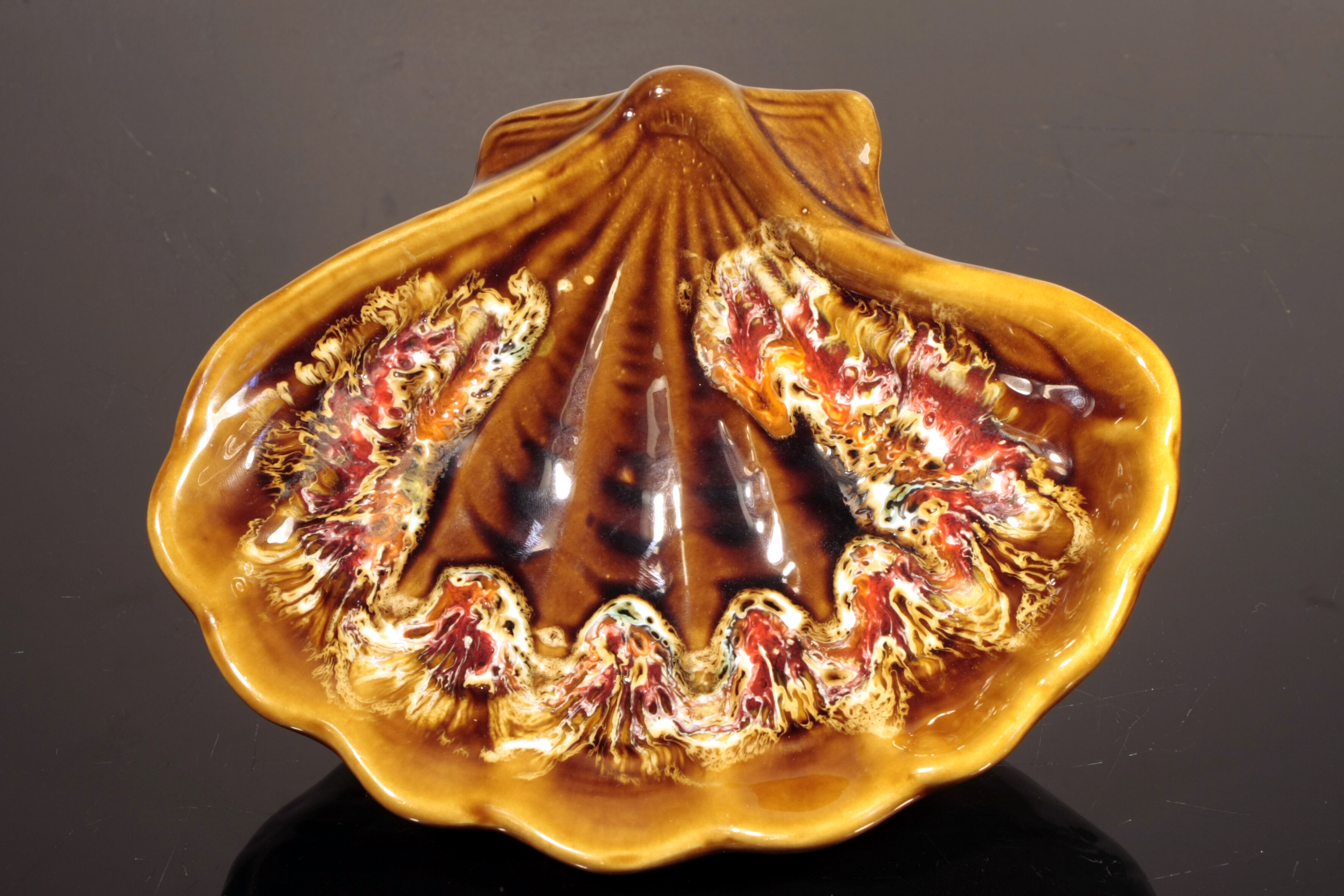 Vallauris coquillage