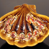 Vallauris shellfish