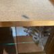 Library - Vintage Secretary