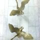 Coffee table swans hollywood regency swan brass design 1960