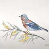 Golden frame bird