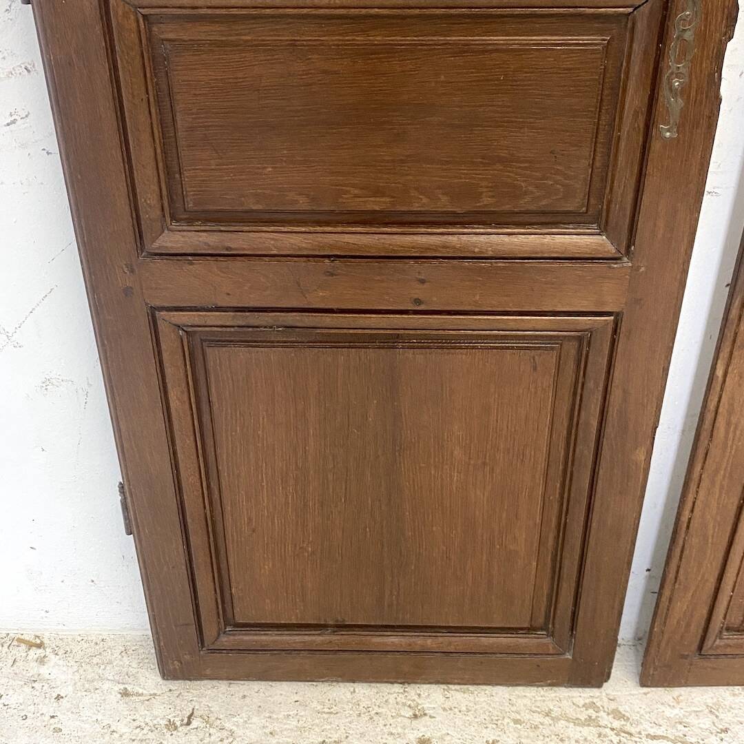 Pair of 19th century oak cabinet doors