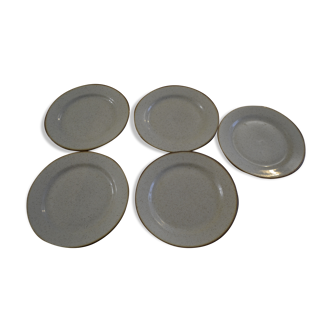 Set of 5 Tulowice stoneware plates