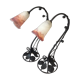 Pair of lamps