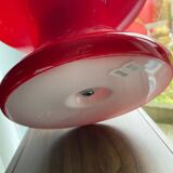 Funghi mushroom lamp