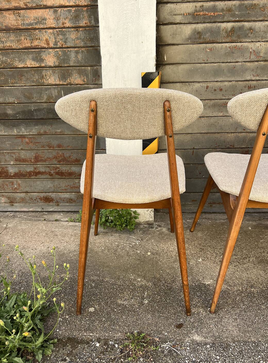 (Lot) Suite de 5 Chaises Pied Compas Restaurées