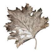 Bol Buccellati en Argent Sterling Forme de Feuille d'Érable Années 1970