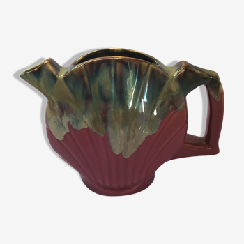 Mkil pitcher shell shape