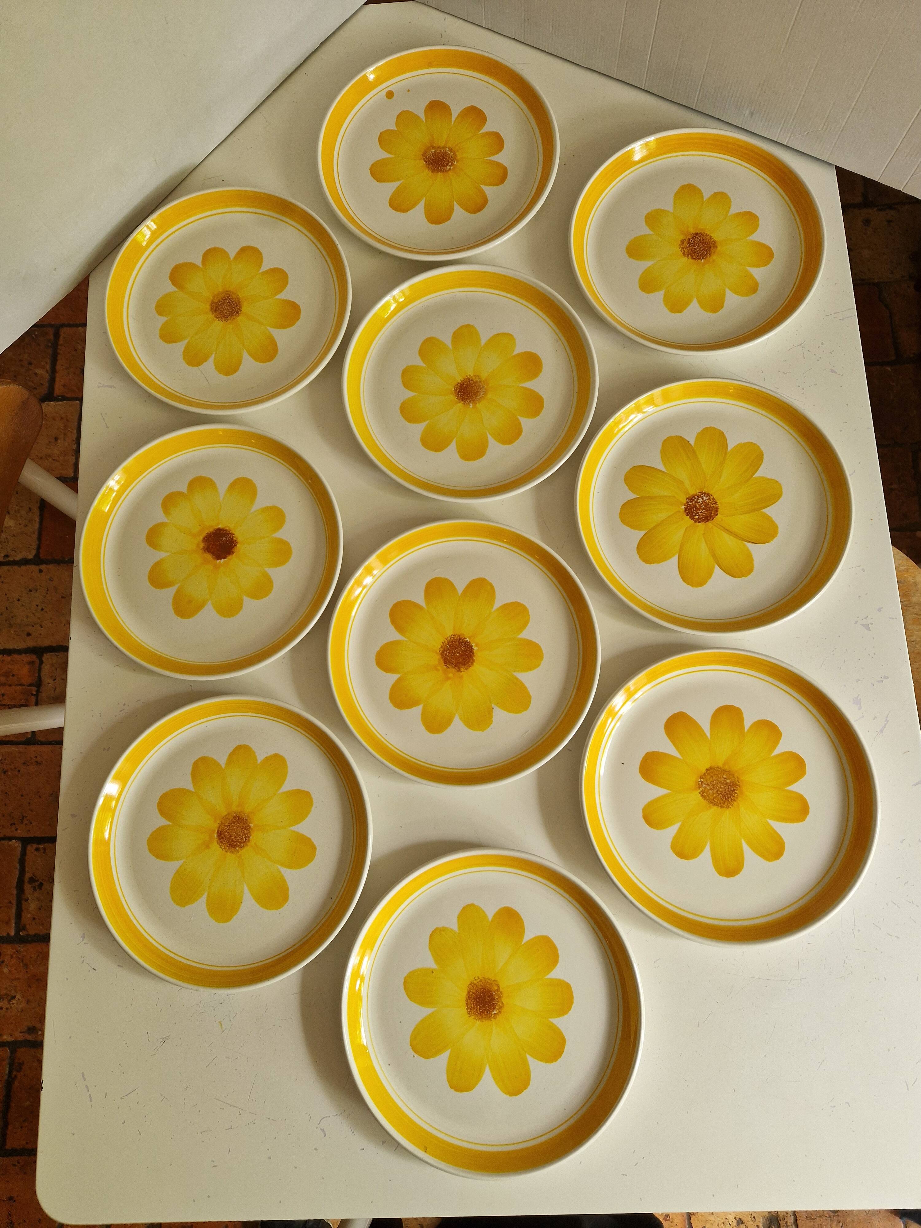 Set of 10 Flat Plates Sarreguemines Model Roseline
