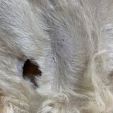 Soft cowhide
