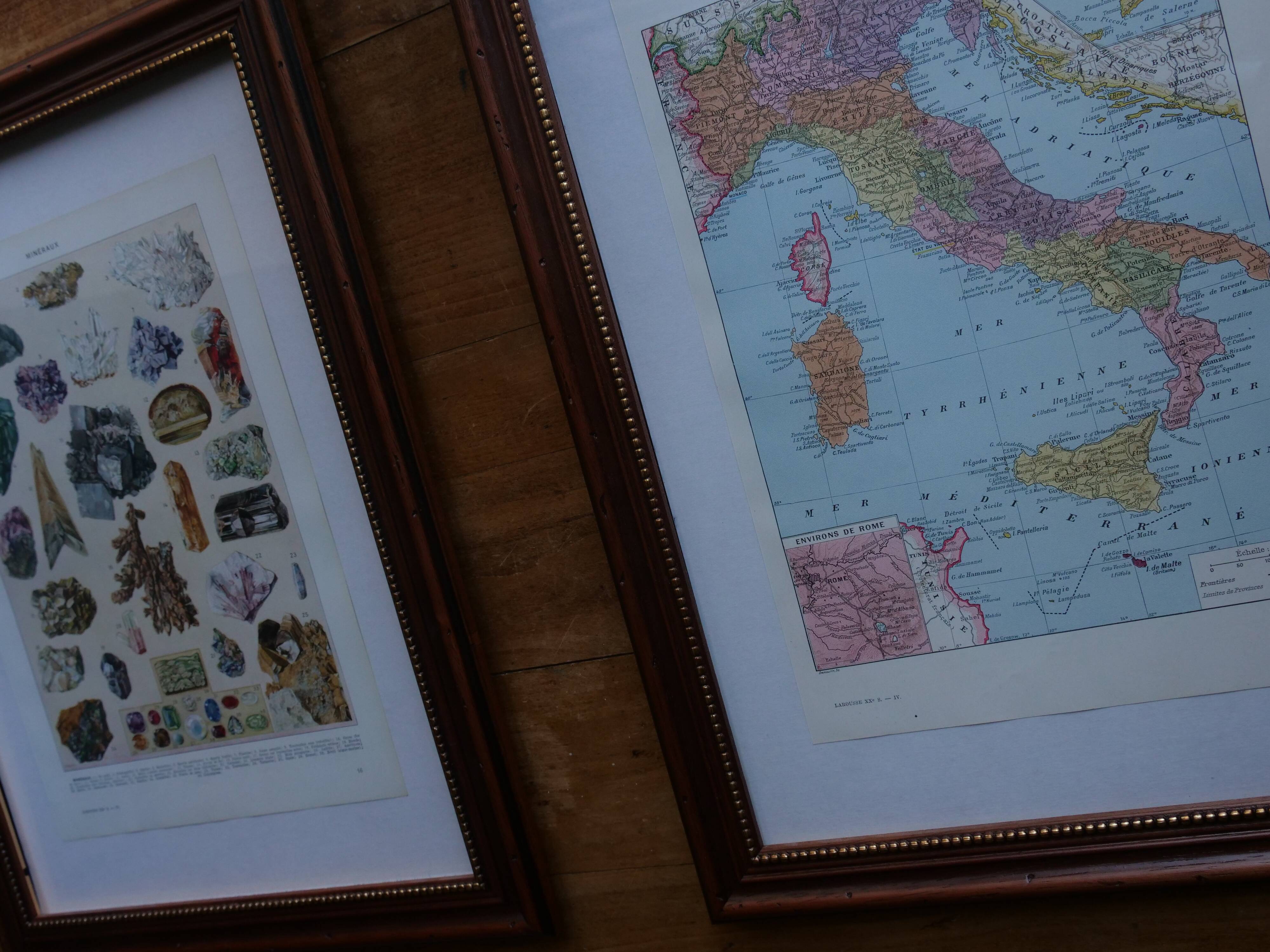 Original lithographs of birds of paradise and farmyard birds