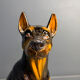 Vintage ceramic sculpture of a Doberman, 1960s