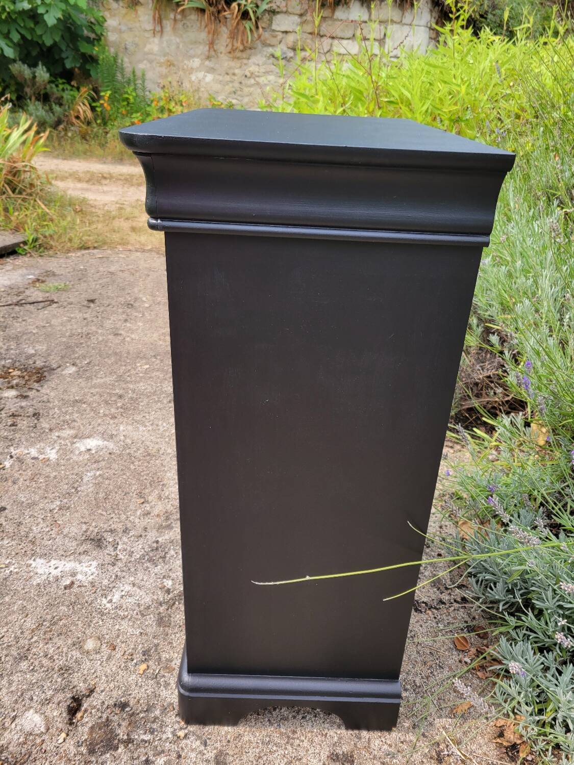 Louis Hilippe black chiffonier