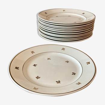 6 assiettes plates Badonviller