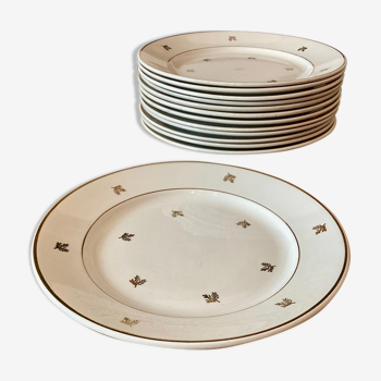 Flat plates Badonviller