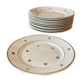 Flat plates Badonviller