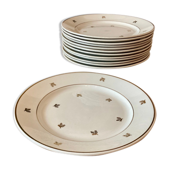 Flat plates Badonviller