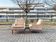 KILL International Armchair Rodolf Glatzel armchair