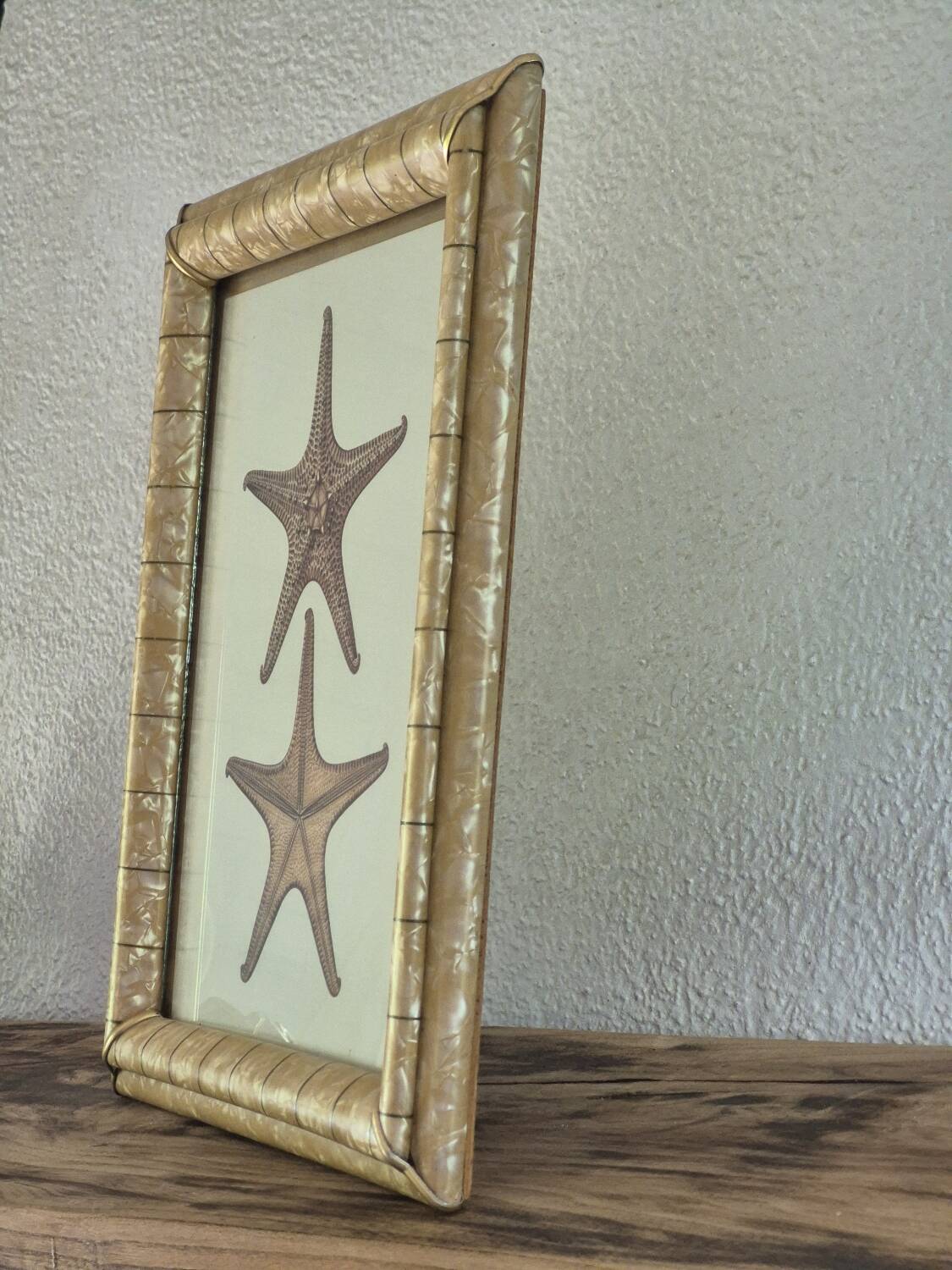 Vintage illustration