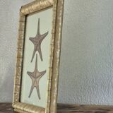 Vintage illustration