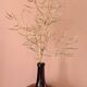 Amber demijohn from the end of 1800