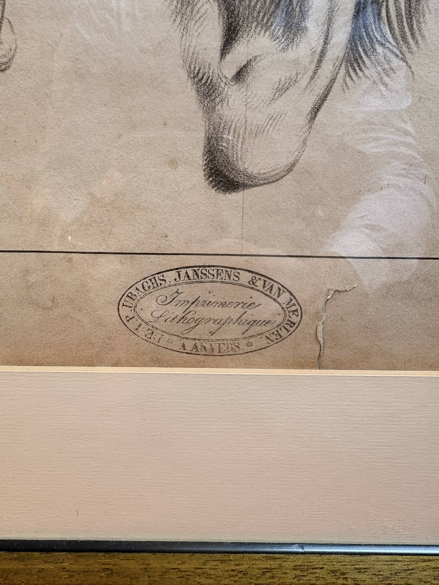 Old Print Engraving 19th Century Framed Academic Study Ear Van Bree