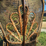 Emmanuelle adult peacock chair for the 70s