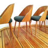 Chairs from Proj. A. Suman, Tatr Nabytok for Tatra, Czechoslovakia, 1960s, Set of 4
