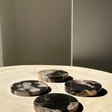 Set of 4 fossilized wooden coasters