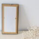 Naturalized butterfly frame