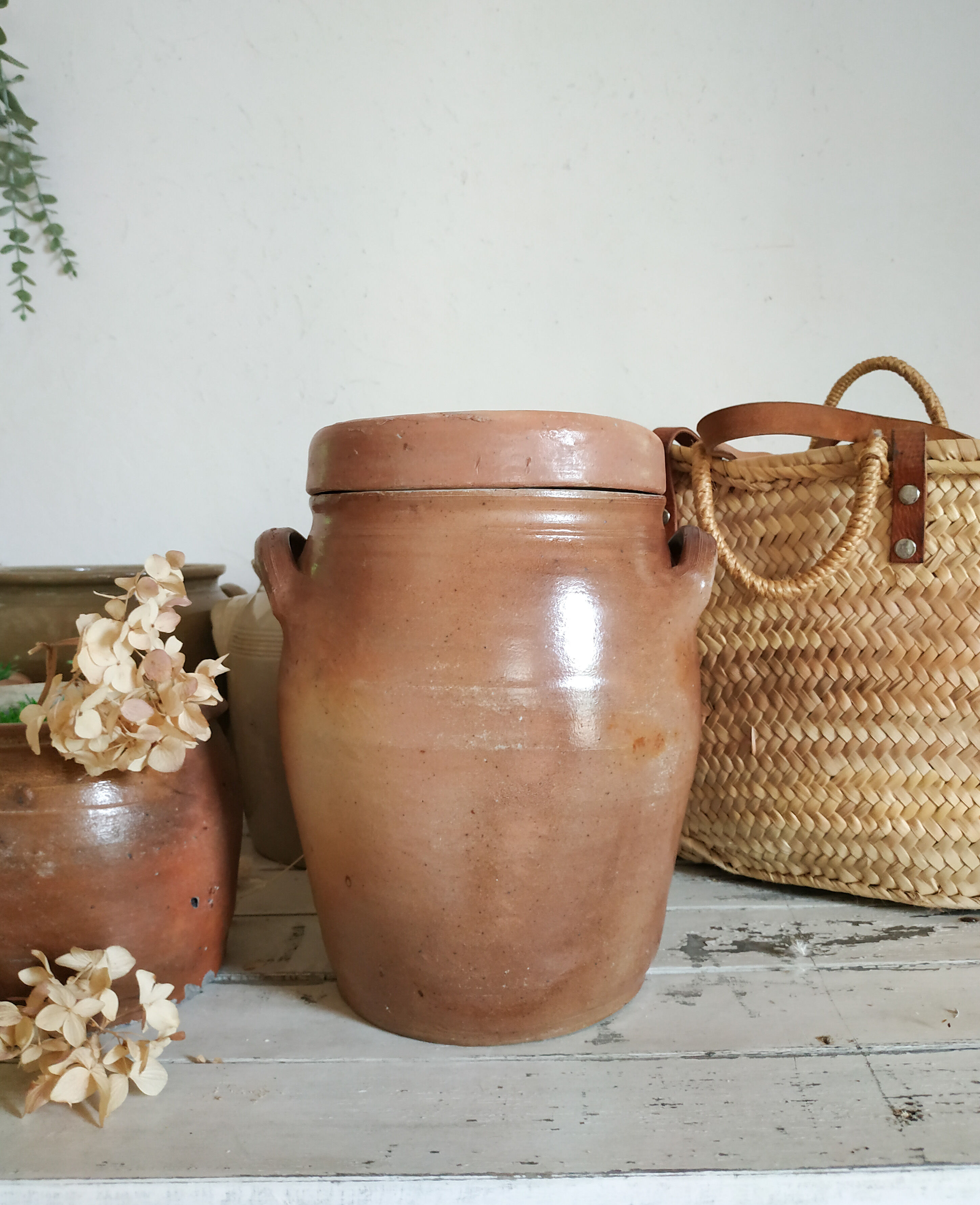 Old terracotta pot with lid
