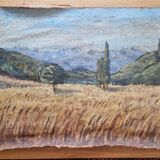 Wheat fields