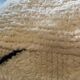 Coussin berbere marocain de sol