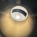 Tulip lamp