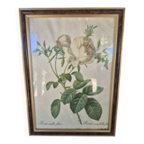 Redouté botanical white spirit roses painting