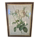 Redouté botanical white spirit roses painting