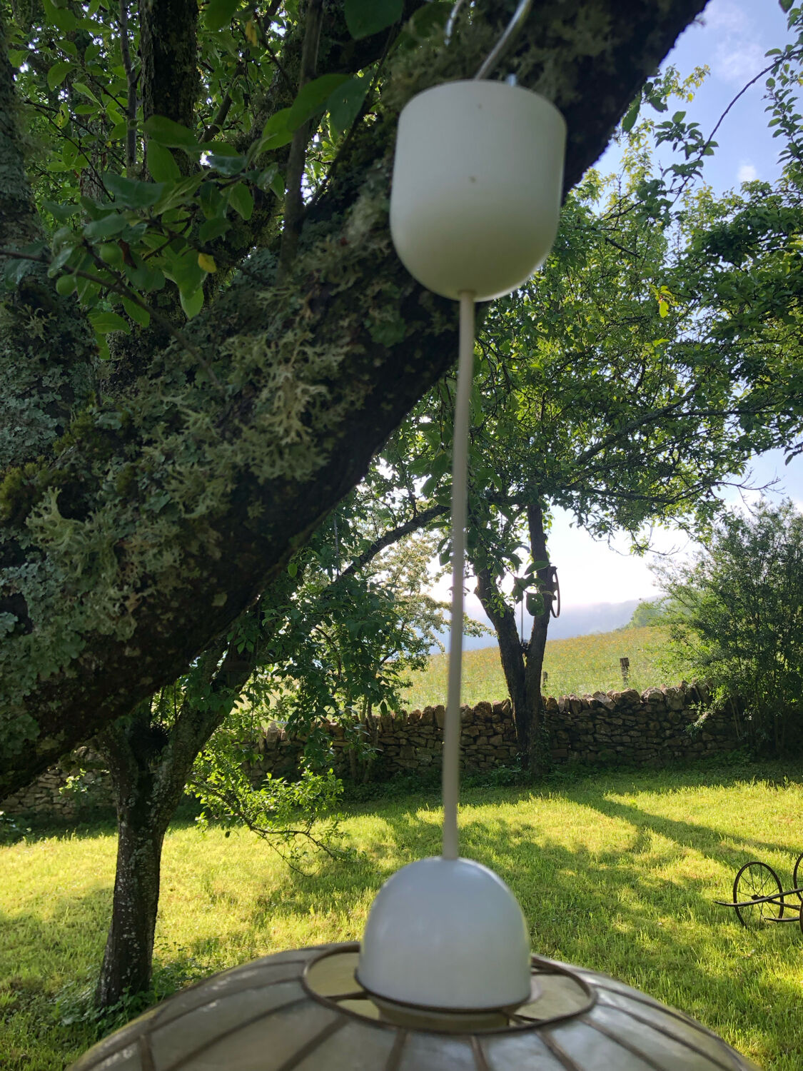 Mother-of-pearl chandelier fruit decoration