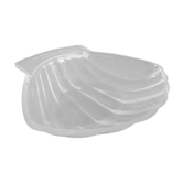 Coupelle coquillage