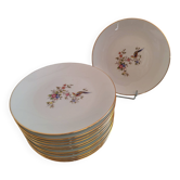 Set of 12 Limoges LP bee plates