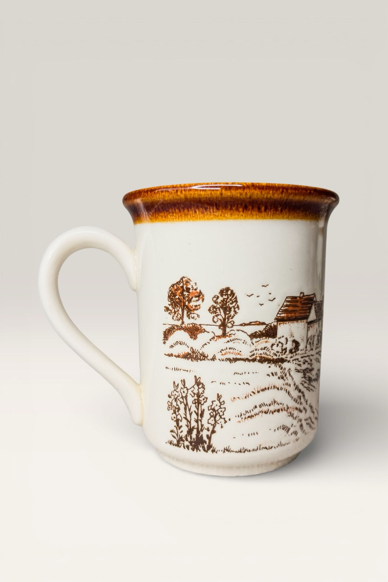 4 Mugs Staffordshire Tableware scènes Rurales Anglaises