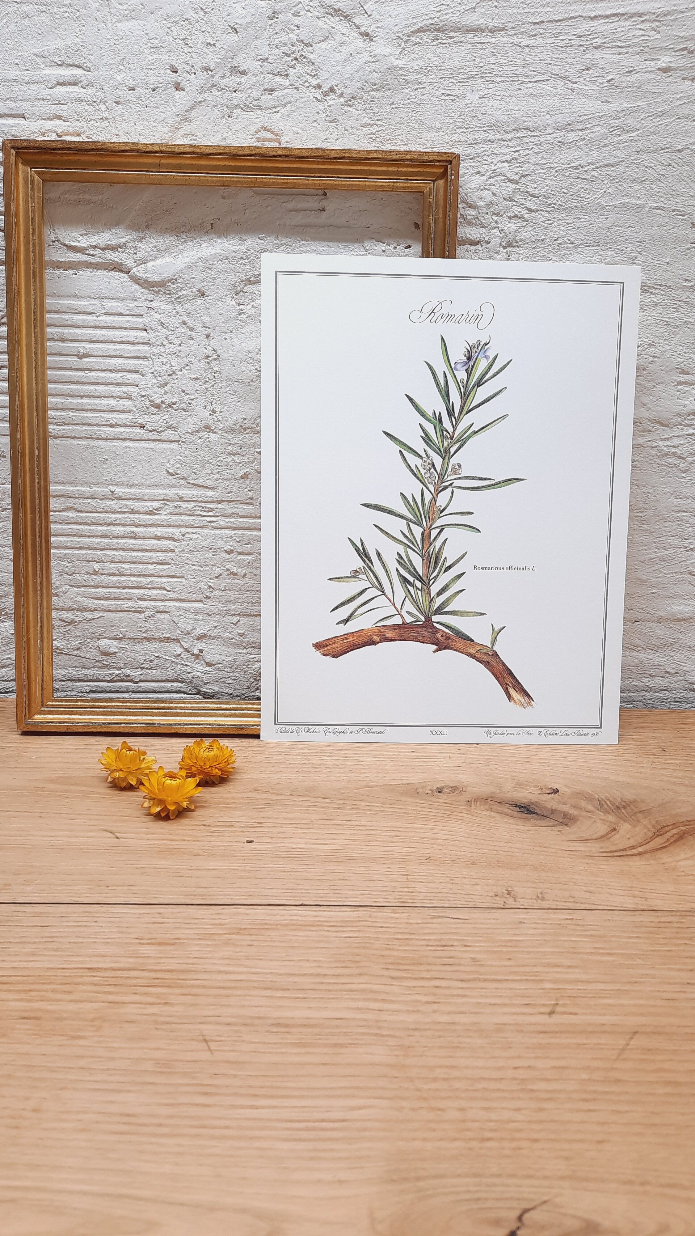 Botanical plank Romarin