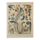 Original vintage poster from 1909