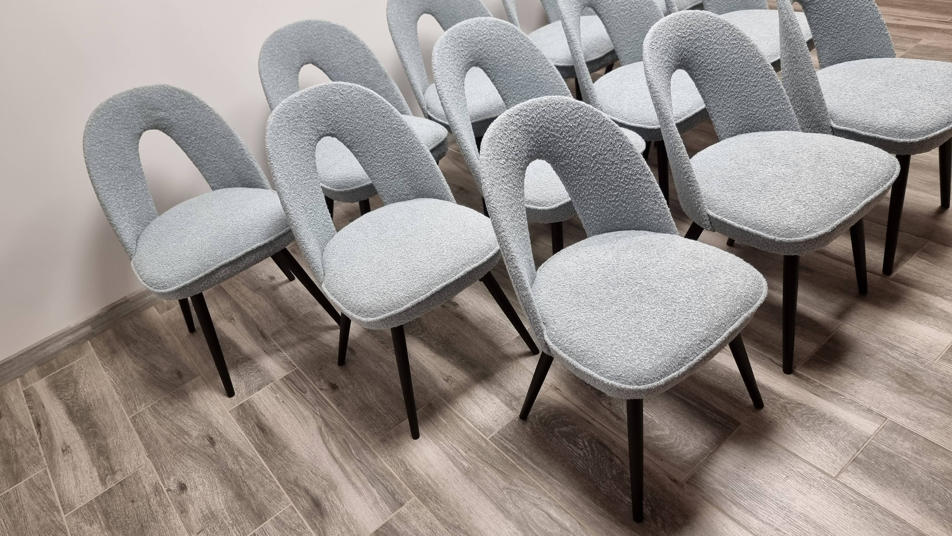 Chaises de Salle à Manger par Antonin Suman, 1960s, Set de 12