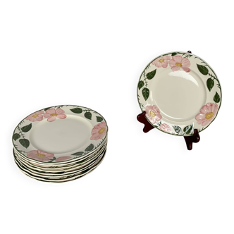 Set of 9 Villeroy & Boch "Wild Rose" dessert plates, 1970