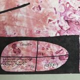 Pierre székely, cocotte, 1981. original print signed in ink